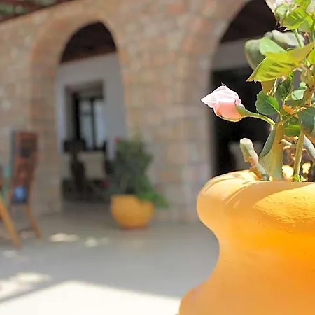 Delfini Adamantas (Milos)