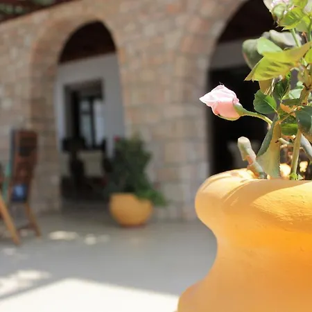 Delfini Adamantas (Milos)