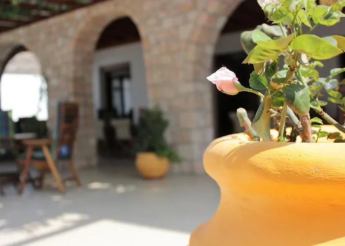 Delfini Adamantas (Milos)